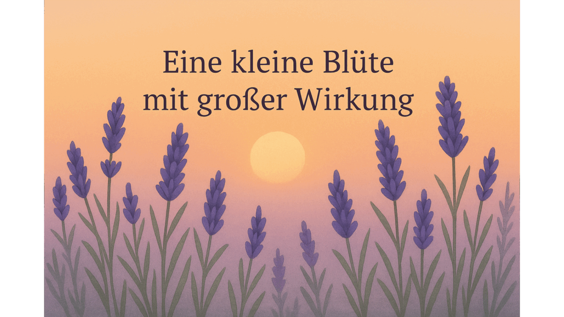 Lavendel Entspannung – Blüten im Sonnenuntergang als Symbol für Ruhe und Gelassenheit