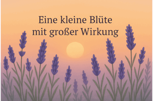 Lavendel Entspannung – Blüten im Sonnenuntergang als Symbol für Ruhe und Gelassenheit