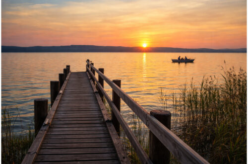 Achtsam morden Buchvorstellung